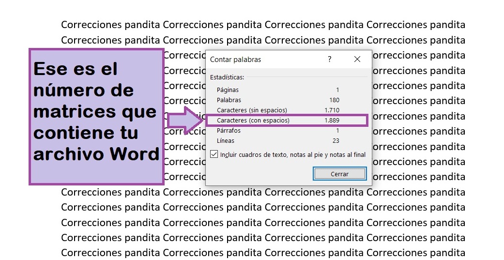 Contar caracteres en Word - Paso 3